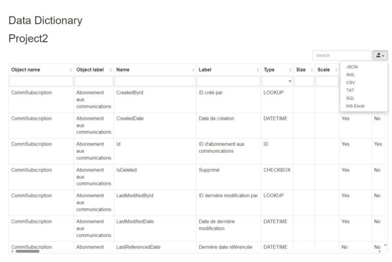 Efficient Salesforce Documentation with Data Dictionaries in 2024 ...